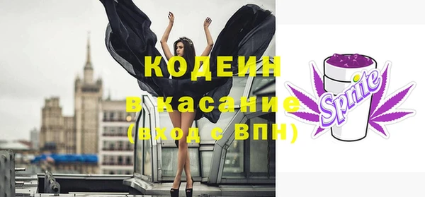 прущий лед Каменка