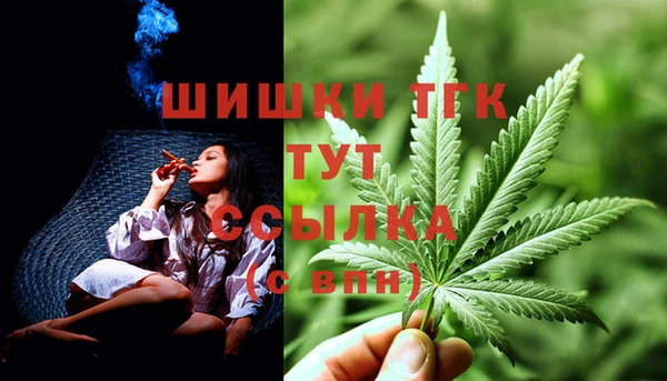 прущий лед Каменка