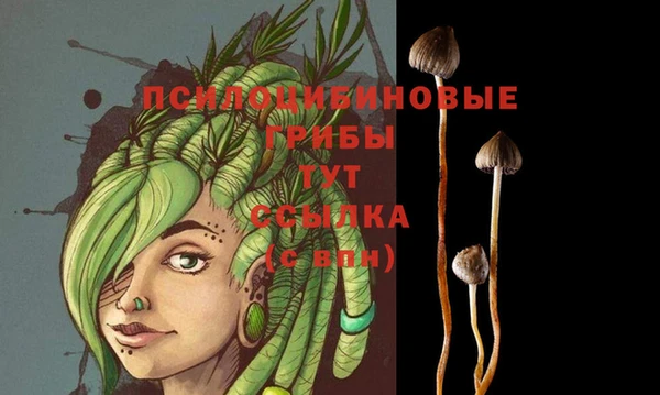 прущий лед Каменка