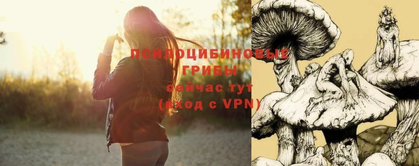 гашишное масло Каменск-Шахтинский