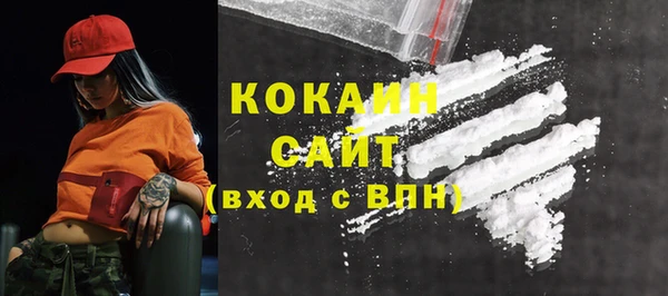 соль ск Каменногорск