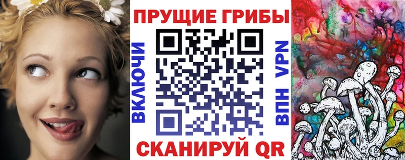 Купить где  Асино  Псилоцибиновые грибы ЛСД 