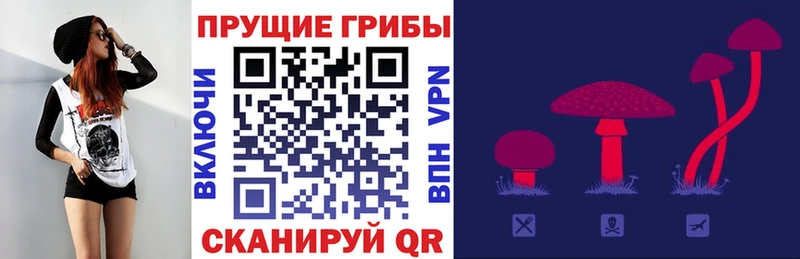 Псилоцибиновые грибы ЛСД Асино